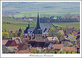 Bechtolsheim Postkarte