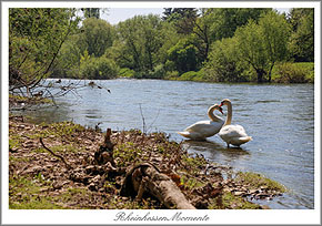 Rheinhessen Postkarte