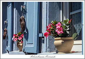 Dromersheim Postkarte