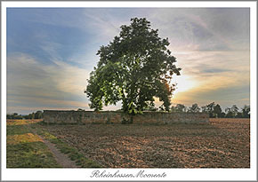 Erbes-B&uuml;desheim Postkarte