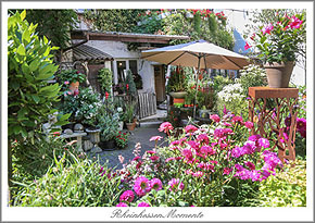 Fl&ouml;rsheim Dalsheim Postkarte