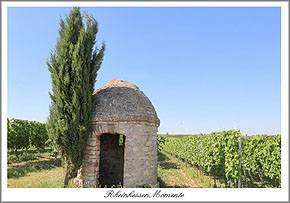 Fl&ouml;rsheim Dalsheim Postkarte